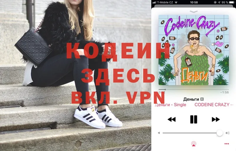 купить закладку  Александровск  Кодеиновый сироп Lean Purple Drank 